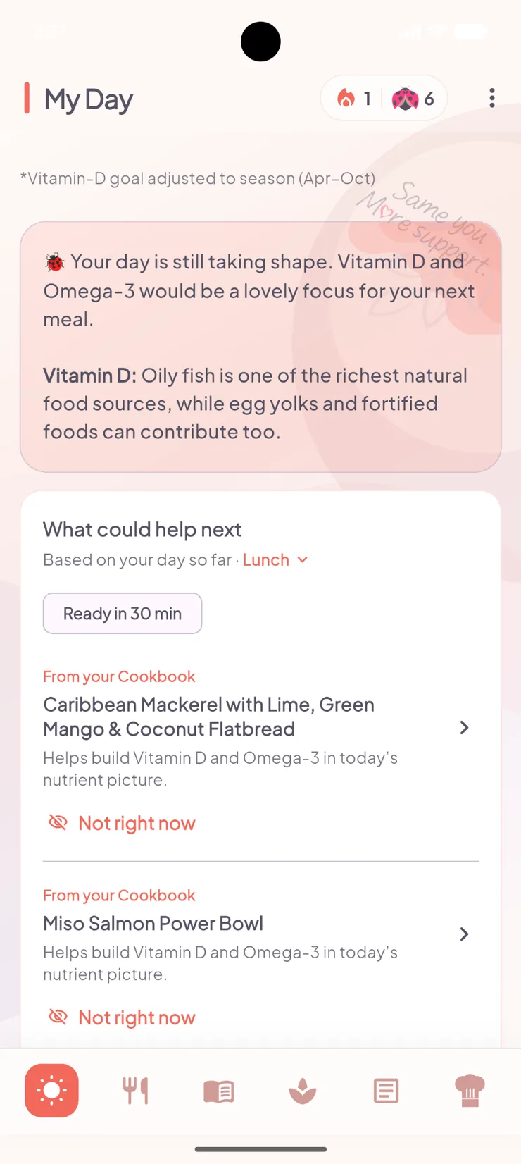 Ladybug 1.2.0 app: My Day: suggested next meals and an option to defer them.